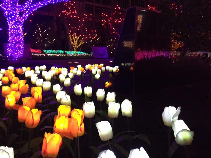 Guizhou Tongren Chuxi Hotel Lighting