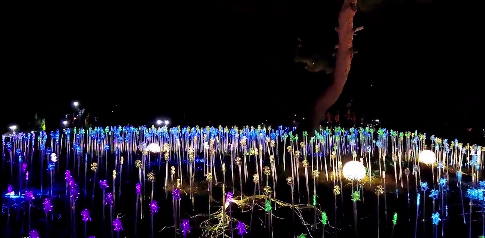 Korean Hanja Culture Festival