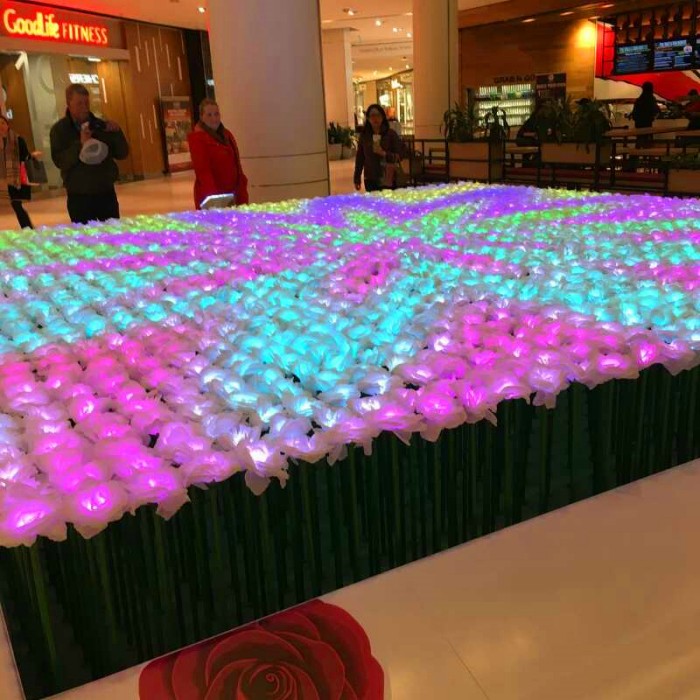Canadian Shopping Center Rose Lantern