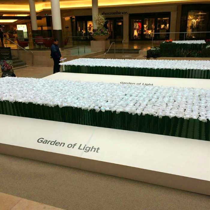 Canadian Shopping Center Rose Lantern