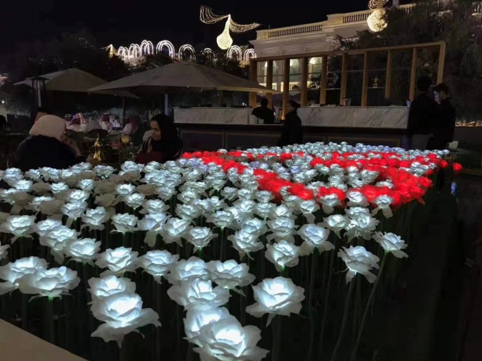 Qatar Lighting