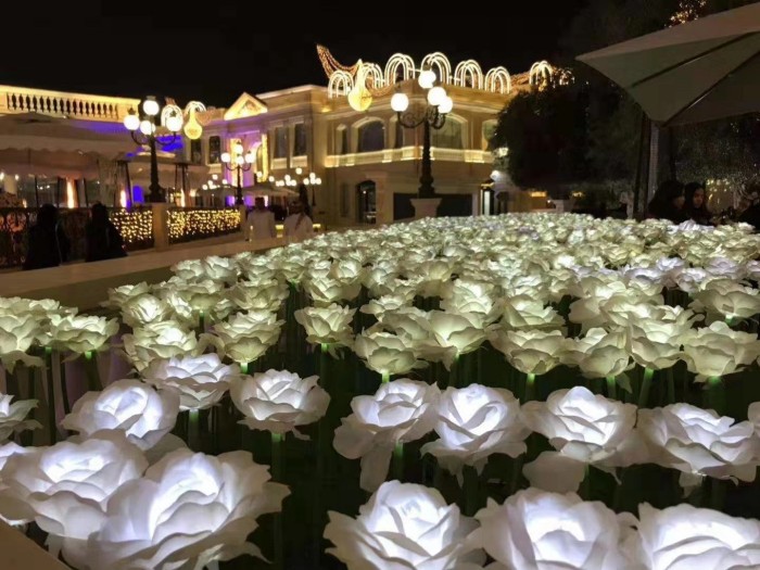 Qatar Lighting