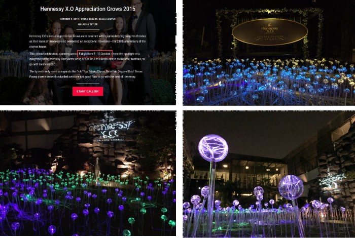 Hennessy Xo Lawn Fiber Optic Light Project in Malaysia