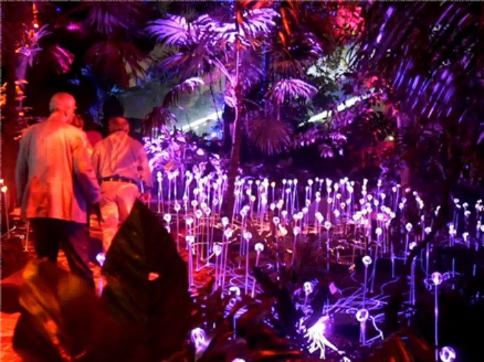 Miami Firefly Fiber Optic