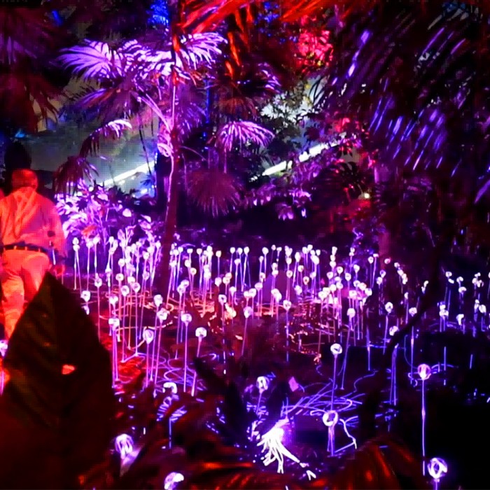 Miami Firefly Fiber Optic