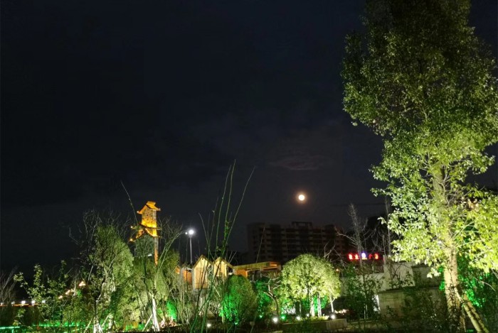 Hennessy Xo Lawn Fiber Optic Light Project in Malaysia