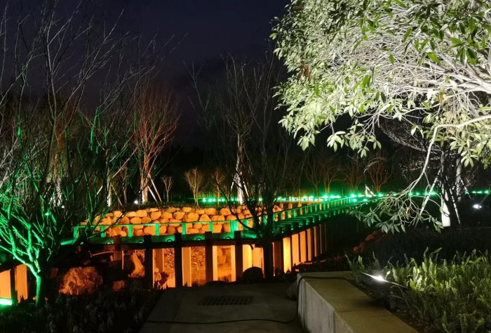 Hennessy Xo Lawn Fiber Optic Light Project in Malaysia