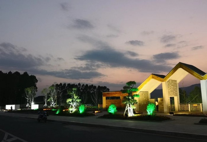 Hennessy Xo Lawn Fiber Optic Light Project in Malaysia