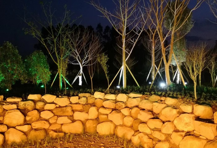 Hennessy Xo Lawn Fiber Optic Light Project in Malaysia