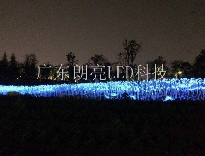 Wuhan Garden Expo Park Fiber Optic Reed Lamp Project