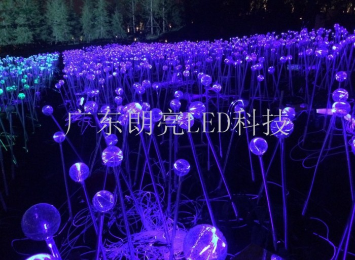 Wuhan Garden Expo Park Fiber Optic Reed Lamp Project
