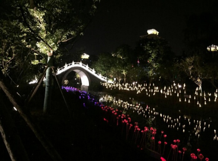 Wuhan Garden Expo Park Fiber Optic Reed Lamp Project
