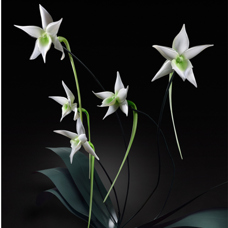 Outdoor Flower Glass Lamp