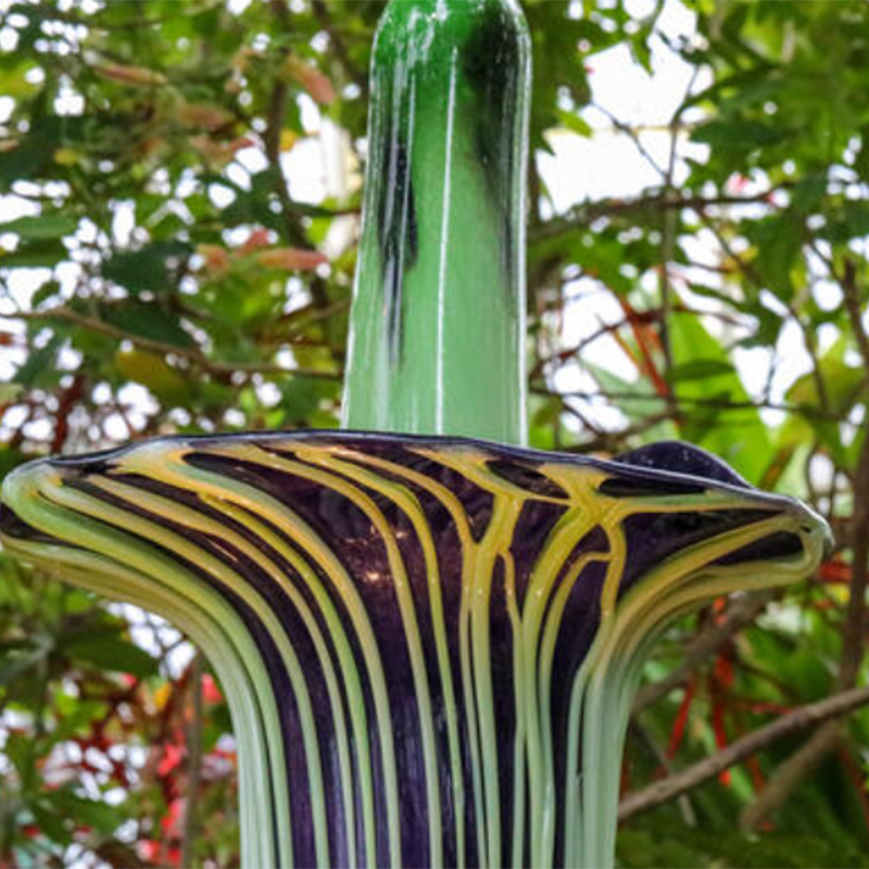 Plant Glass Decoration