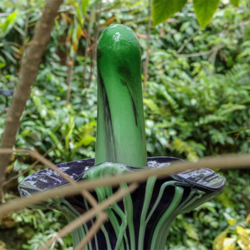 Plant Glass Decoration