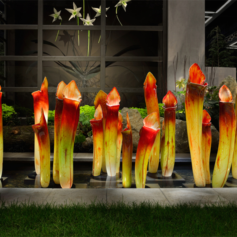 Yellow Pitcher Plant