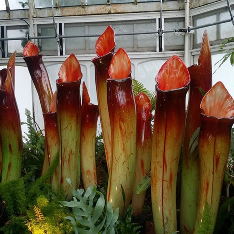 Yellow Pitcher Plant