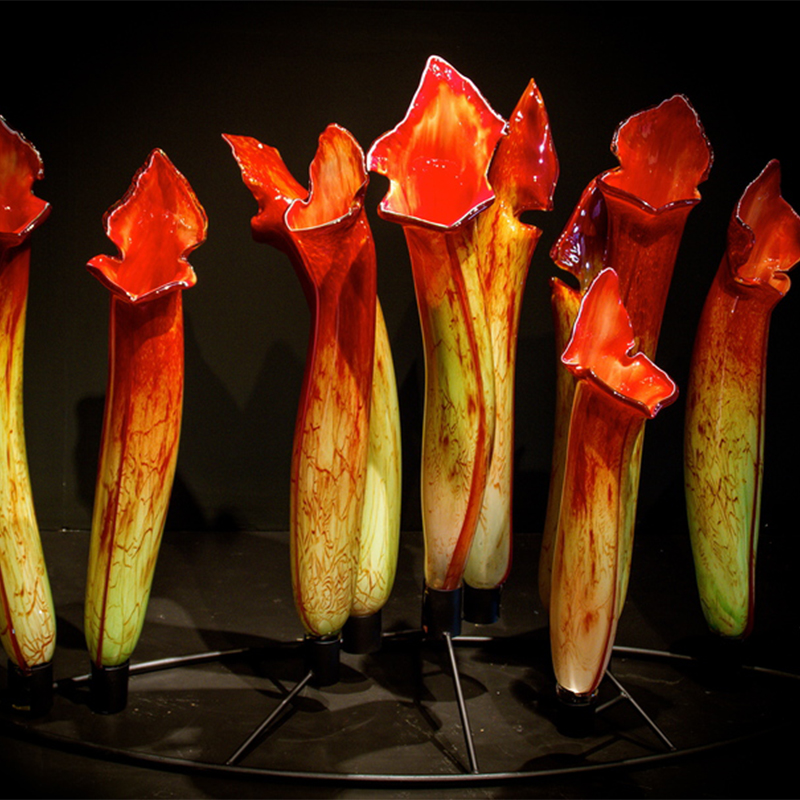 Yellow Pitcher Plant