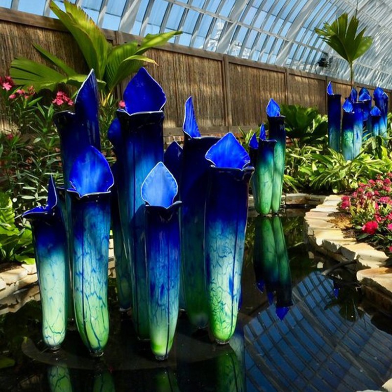 Purple Pitcher Plant