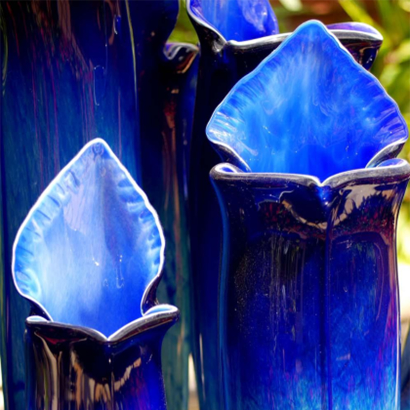 Purple Pitcher Plant