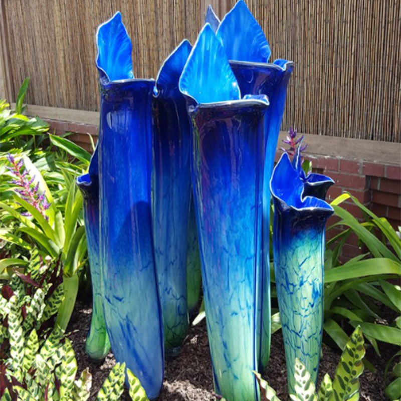 Purple Pitcher Plant